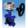 Затвор поворотный 22.013 ARI-GESA  PN16 EN-JS1030/ EPDM межфланцевый, редуктор (PN 16, DN 125)